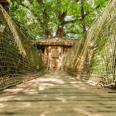 Campsite Les De L'orbiere