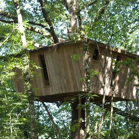 Les De L'orbiere Forcé