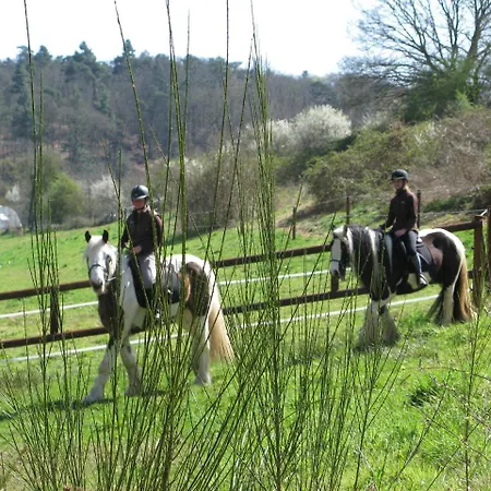 Campsite Les De L'orbiere
