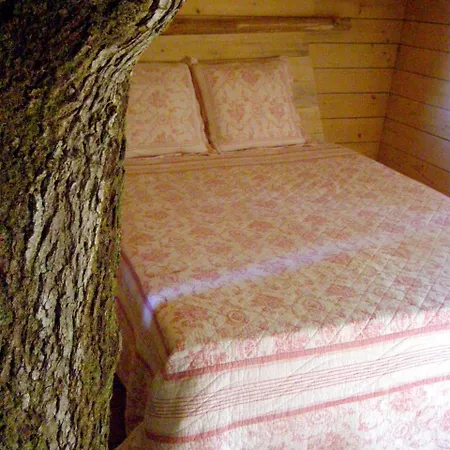 Les De L'orbiere Kemping *