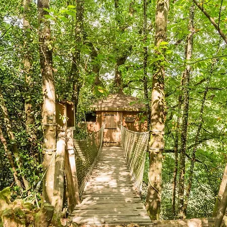 Les De L'orbiere * Force