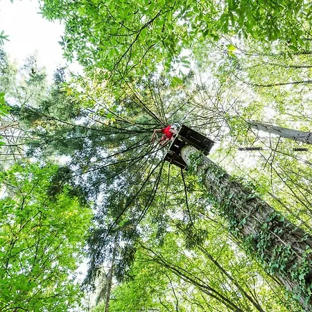 Les De L'orbiere Kemping *