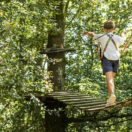 Les De L'orbiere * Force