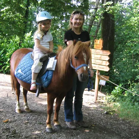 Campsite Les De L'orbiere Force