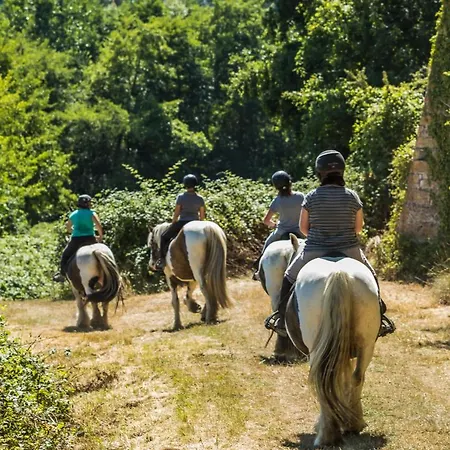 Les De L'orbiere Kemping