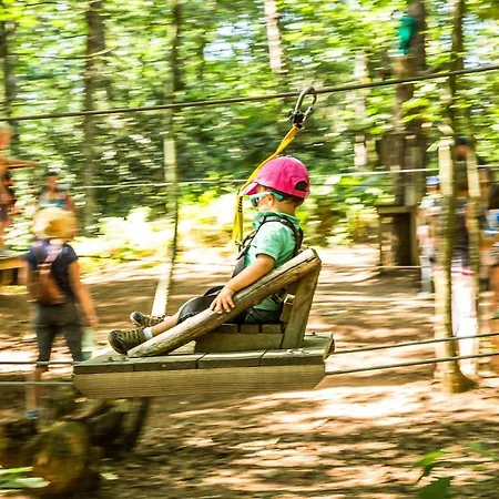 Les De L'orbiere * Forcé