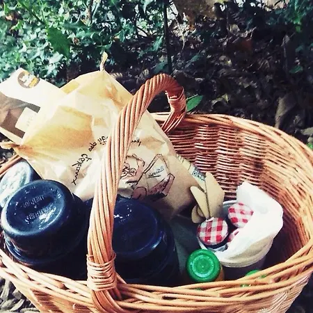 Kemping Les De L'orbiere Forcé