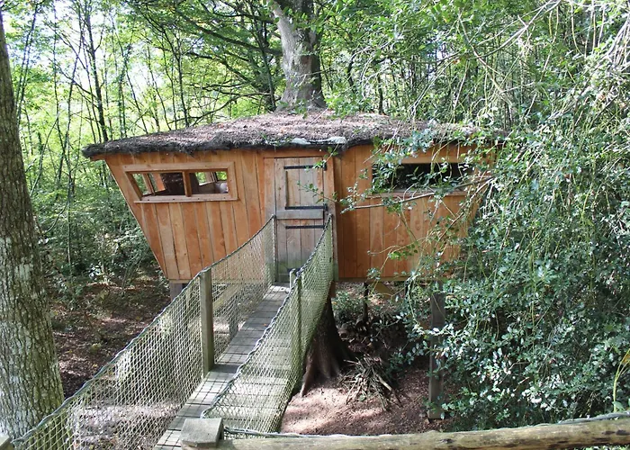 Les De L'orbiere Forcé