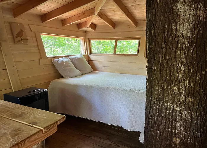 Les De L'orbiere Camping