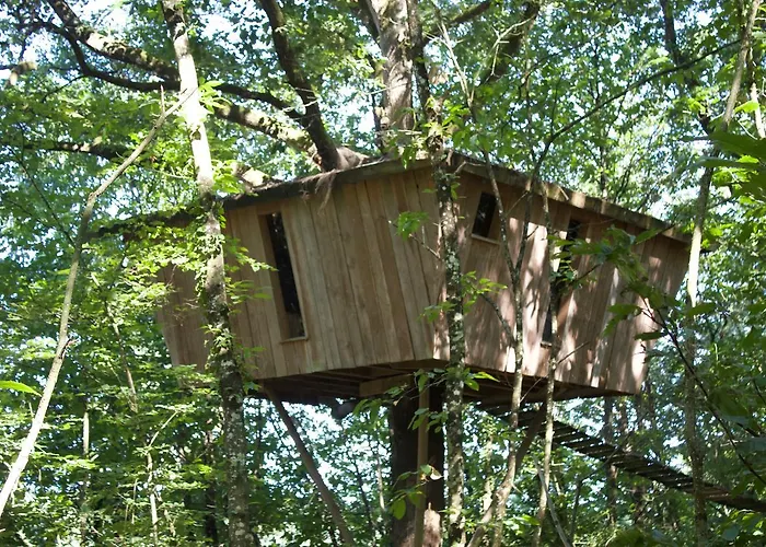 Les De L'orbiere Forcé