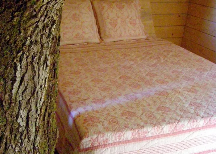 Les De L'orbiere Camping *