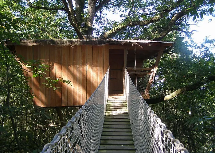 Les De L'orbiere Forcé