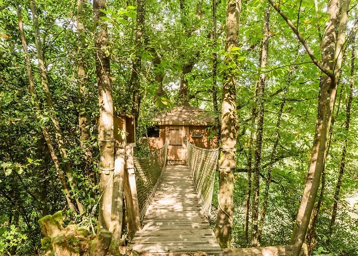 Les De L'orbiere * Forcé