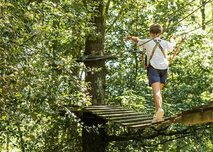 Les De L'orbiere * Forcé