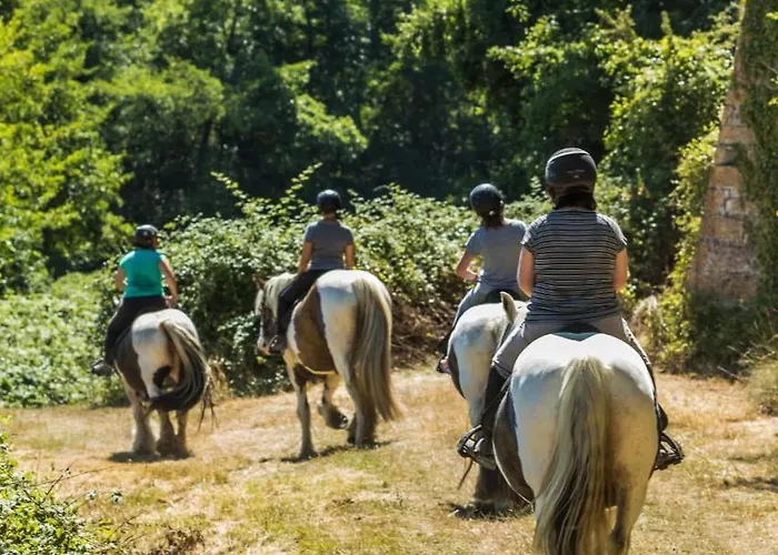 Les De L'orbiere Camping