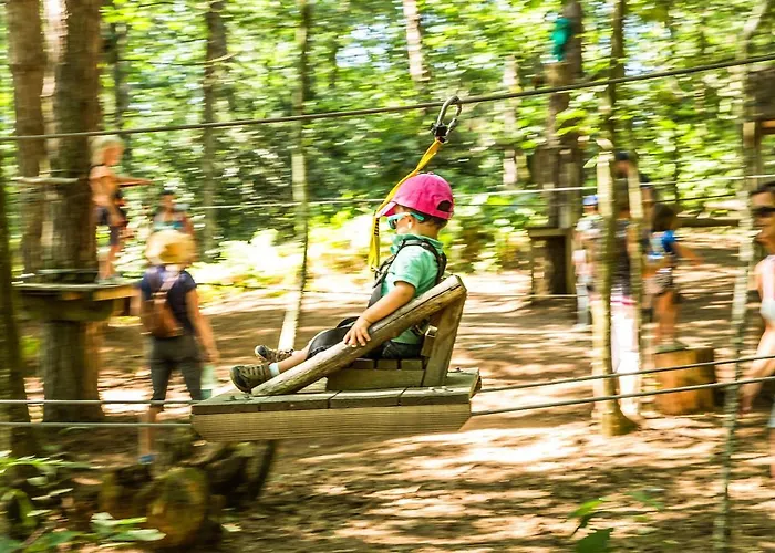 Les De L'orbiere * Forcé