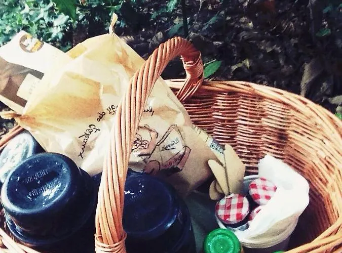 Camping Les De L'orbiere Forcé